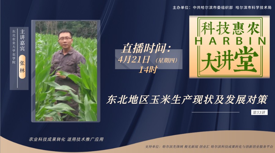 【视频回顾】哈尔滨“科技惠农大讲堂”|第53讲：东北地区玉米生产现状及发展对策【直播预告】
